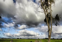 湖人客场大胜森林狼，取得三连胜