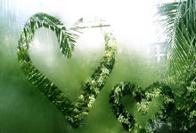 湖人客场大胜森林狼，取得三连胜