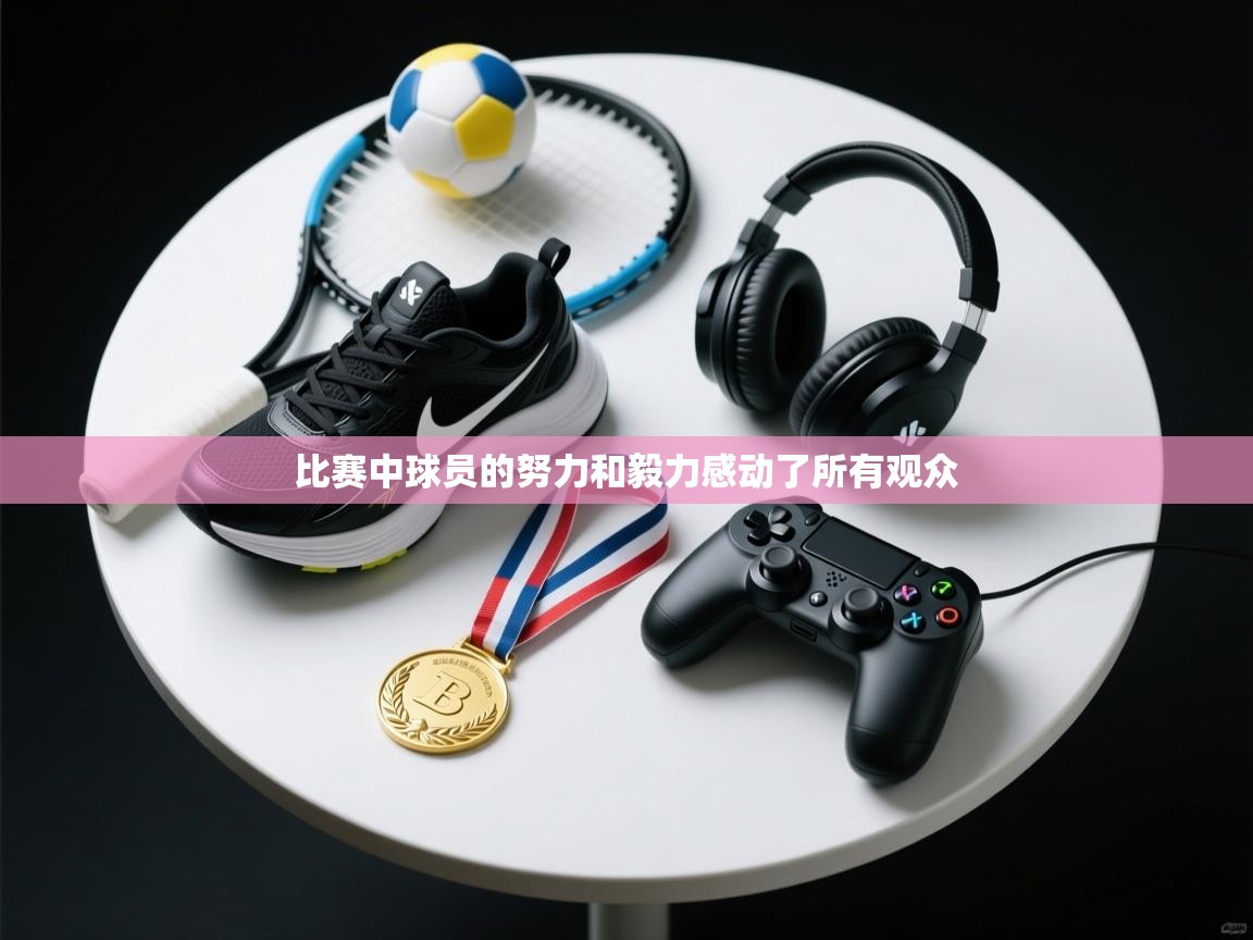 比赛中球员的努力和毅力感动了所有观众
