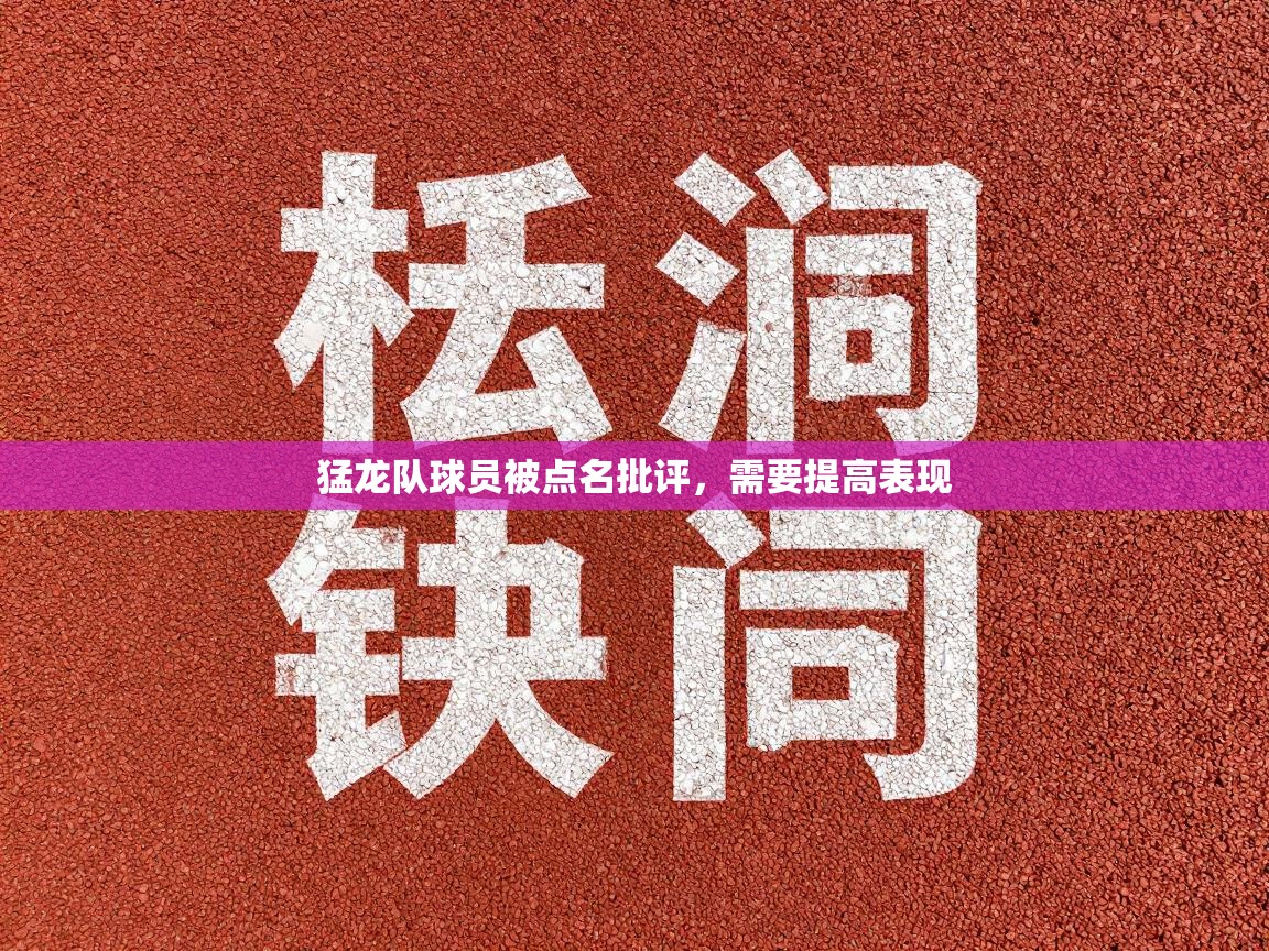 猛龙队球员被点名批评，需要提高表现