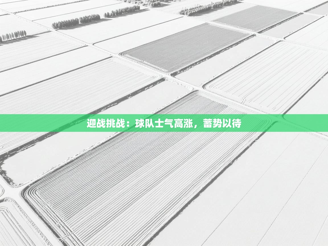 迎战挑战：球队士气高涨，蓄势以待
