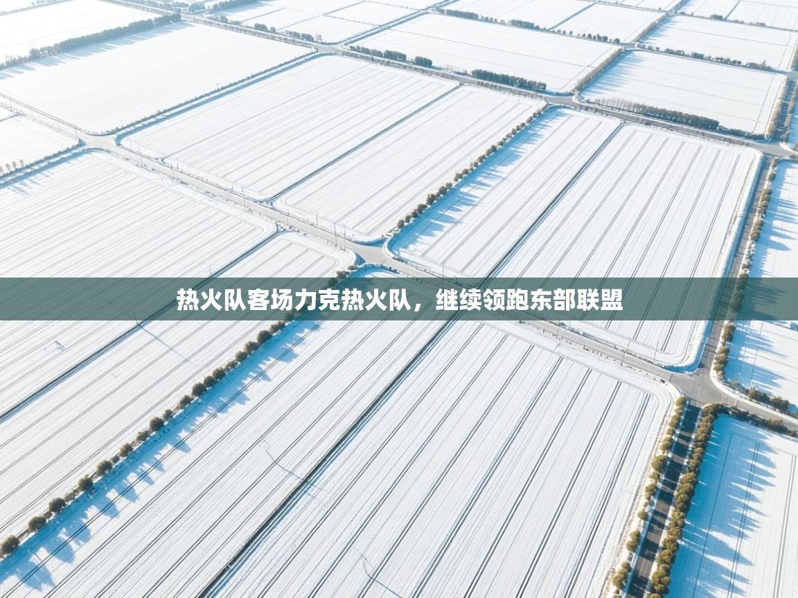 热火队客场力克热火队，继续领跑东部联盟  第2张